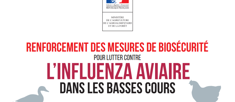 Lutte contre l’influenza aviaire